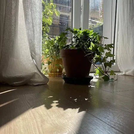 Bella Easo Apartment San Sebastián