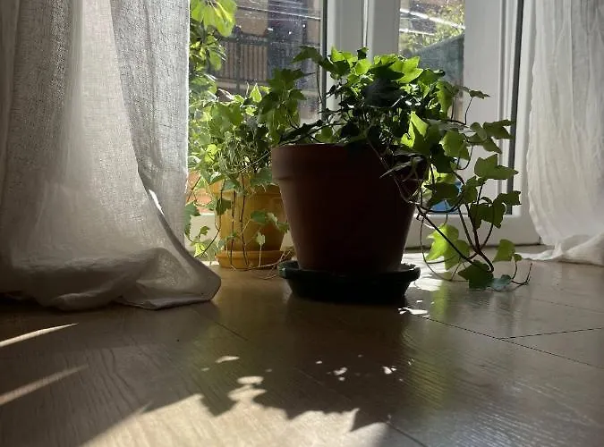 Bella Easo Apartman San Sebastián